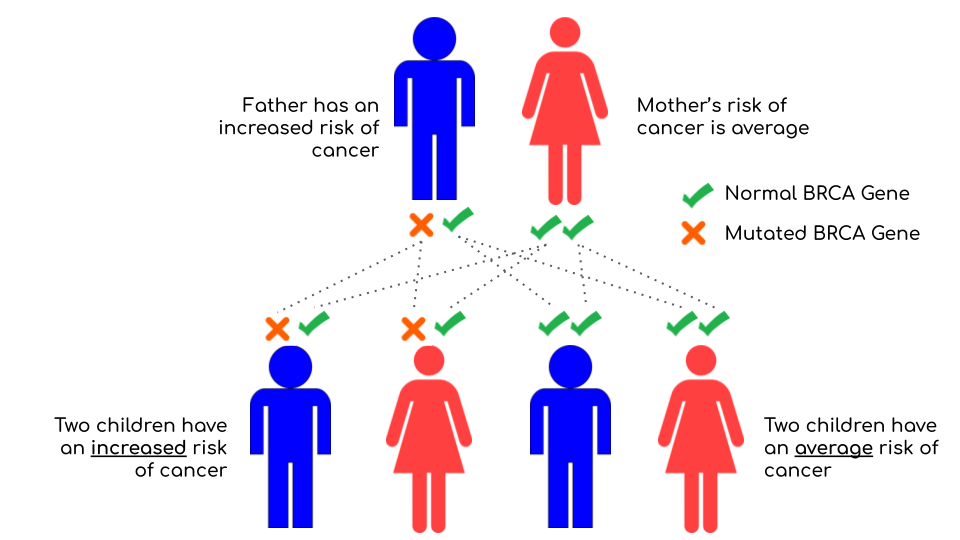 What is the BRCA Exchange and what do we do? – BRCA Exchange